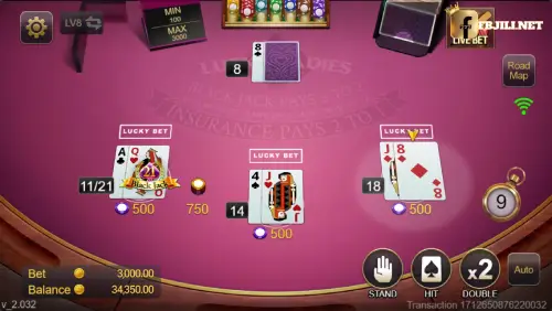 Blackjack Lucky Ladies